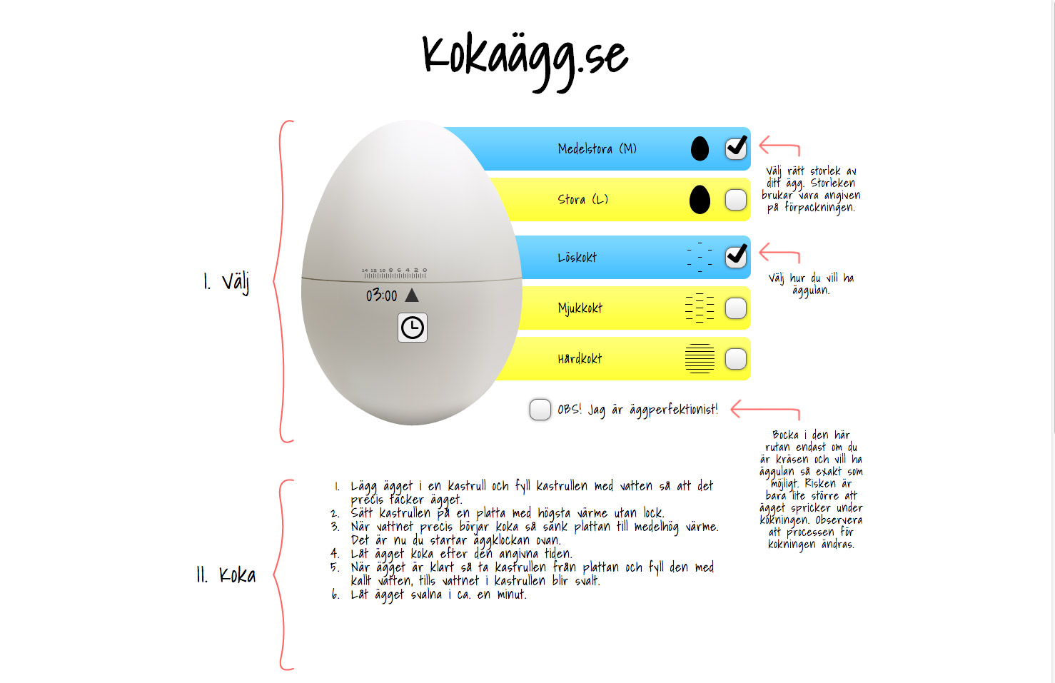 Matlagningssajten kokaägg.se